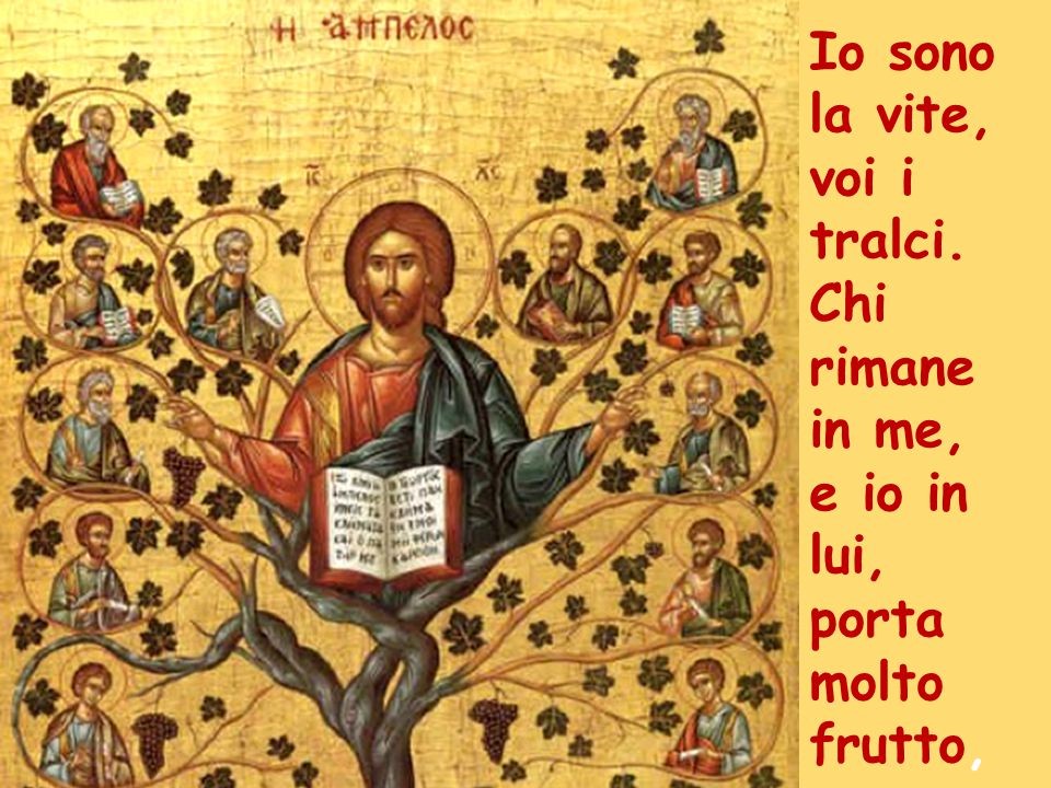 alla mensa della Parola - V Domenica di Pasqua – B  2018