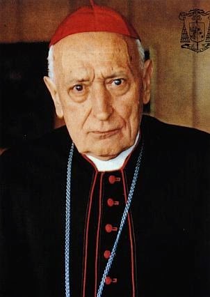 Virtù eroiche  del Card. JOZSEF MINDSZENTY
