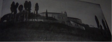 Naso